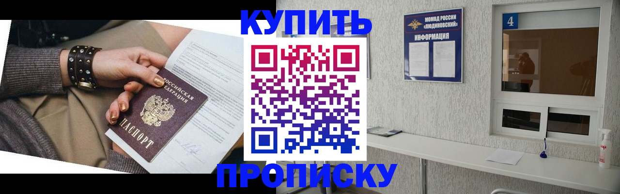 купить прописку в Камчатской области